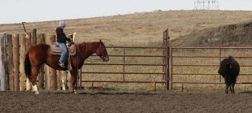 Jill and Mixer stare down the beast