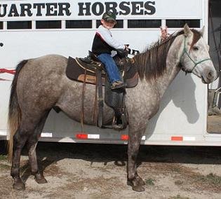 Daniel and Gus (Geiers Lil Biter)