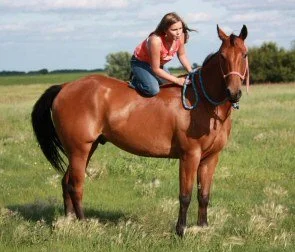 Jill &amp; Mud, messing around