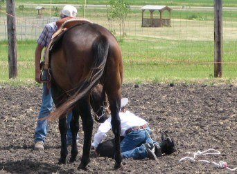 Jill and Papa at the Griggs County 4-H Show; Reserve Champion Goat Tying