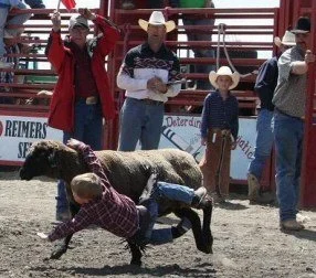 Daniel mutton busting