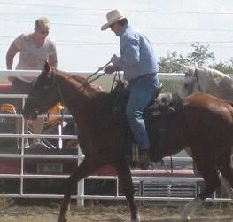 David on Talon - Egg &amp; Spoon