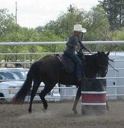 Lexi on Midget - Barrels