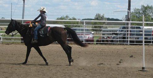 Lexi on Midget - Poles