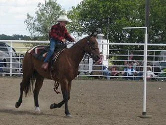 Dougles on Mud - Poles