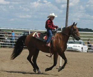Dougles on Mud - Poles