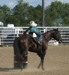 Lexi on Midget - Flag Race