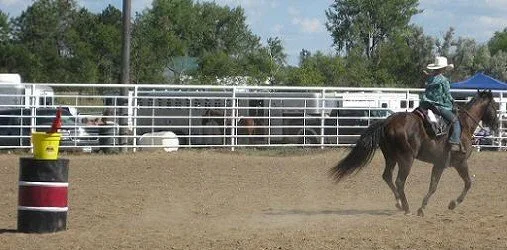 Lexi on Midget - Flag Race