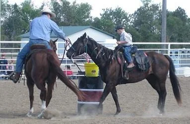 David on Talon &amp; Gage on Midget - Flag Race
