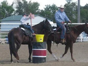 David on Talon &amp; Gage on Midget - Flag Race