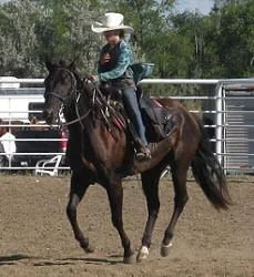 Lexi on Midget - Musical Chairs