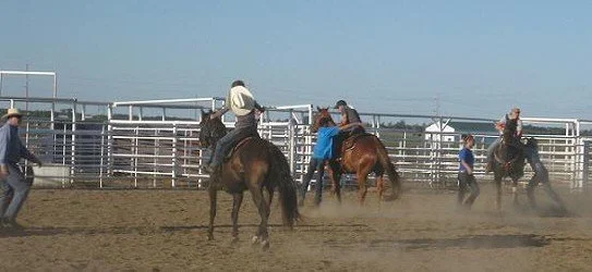 Lexi on Midget with David - Rescue Race