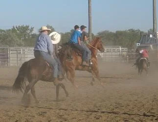 Lexi on Midget with David - Rescue Race