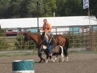 David on Cake and Douglas on Spotsie in the Sack Race