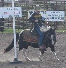 Douglas and Spotsie-competing in Poles