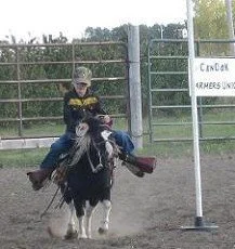 Douglas and Spotsie-competing in Poles