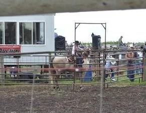 Lexi and Gus steal the show