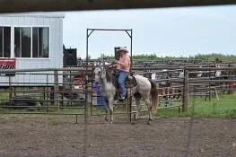 David competing on Bee Without Sox