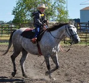 David and Douglas-barrels