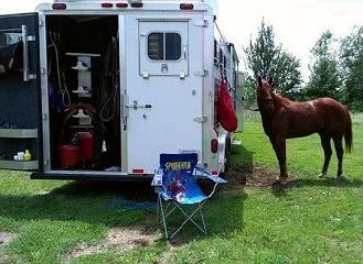 Butch getting "urbanized"