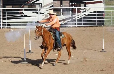 David on DHD Biting Brutus (2012 sorrel gelding)