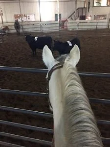 Charlene Wadell's Curly and their awards