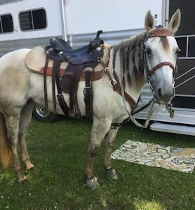 Charlene Wadell's Curly and their awards