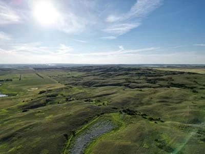 2023-dji_fly_20230801_193946_166_1691063280345_photo copy.jpg