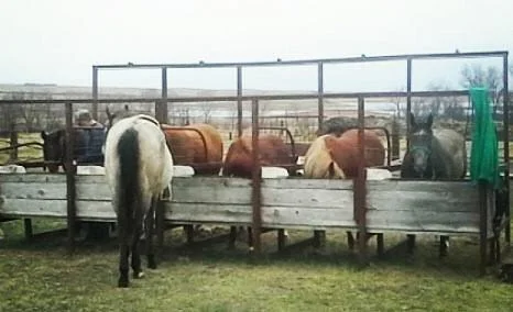 April 2015--2 and 3yo's getting ready for work