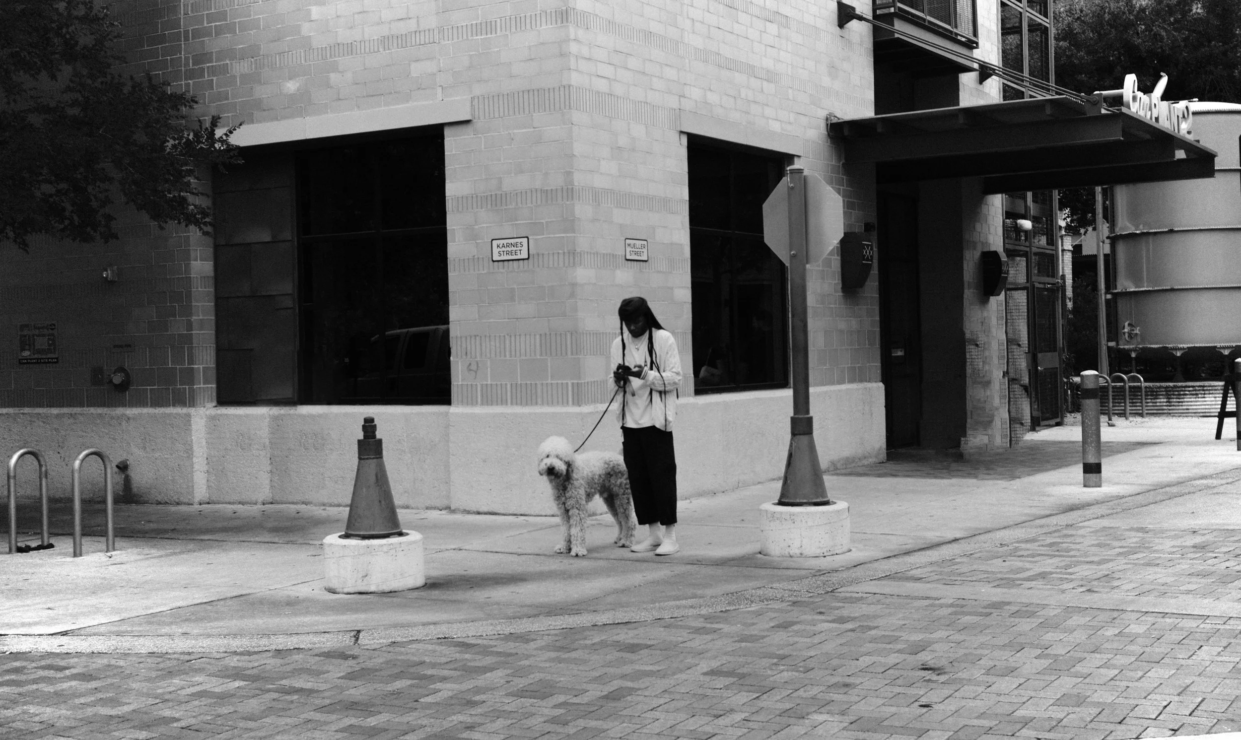 A woman standing on a sidewalk next to her dog, both looking at a phone. Buildings and street signs are visible in the background.