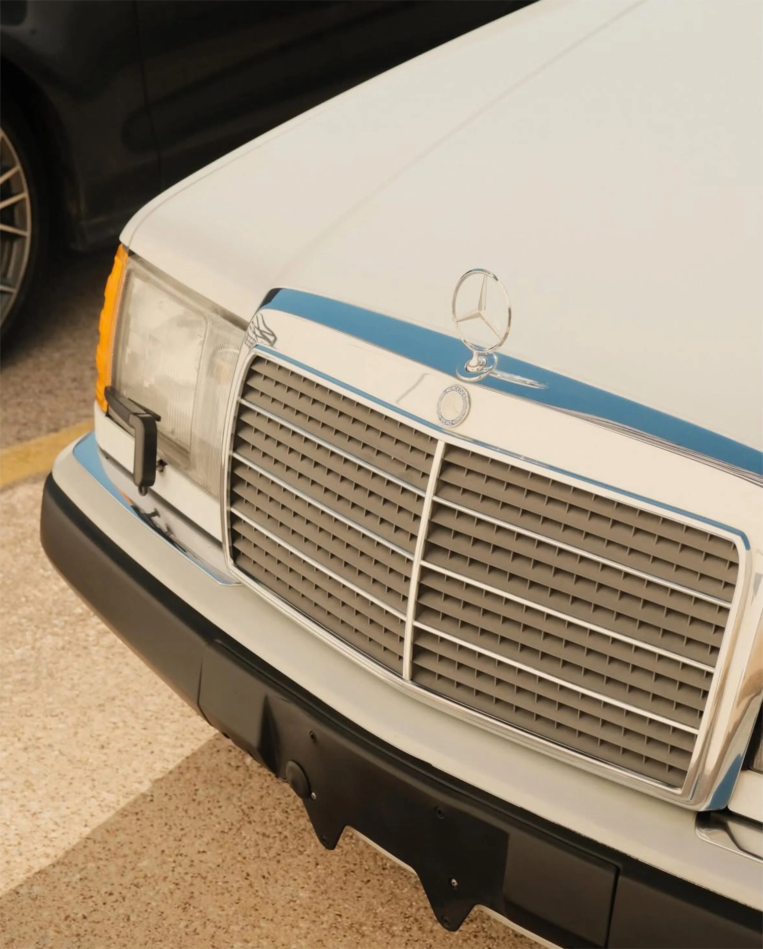 Close-up of the front of a vintage white Mercedes-Benz car with a blue stripe, Mercedes emblem on the hood, and a chrome grille.