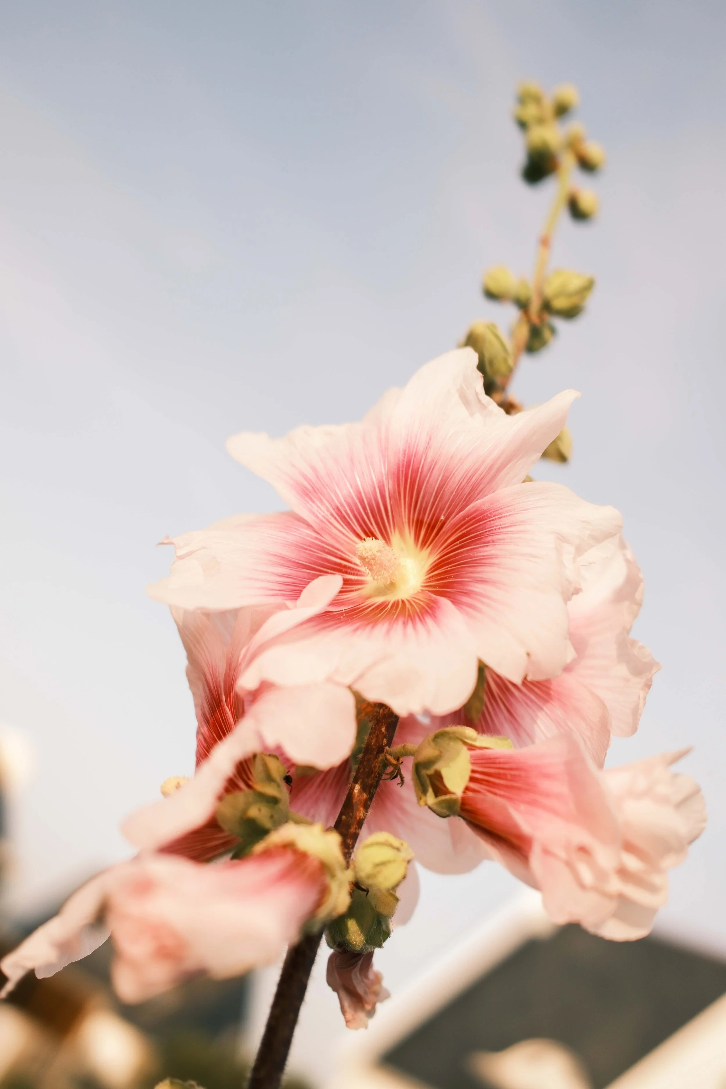 France-130.jpg