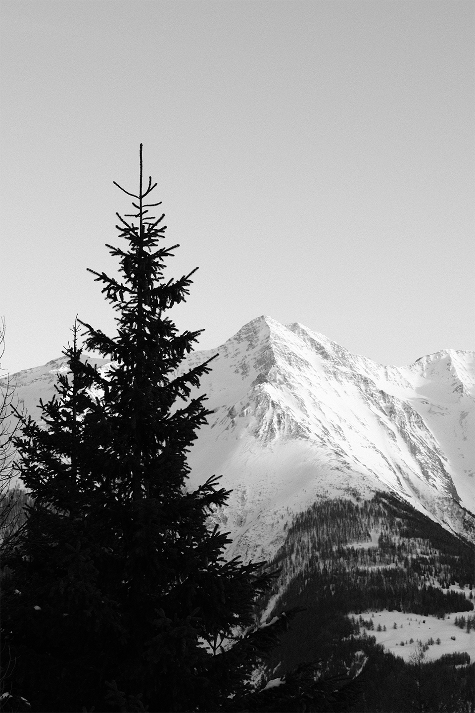nature_003.png