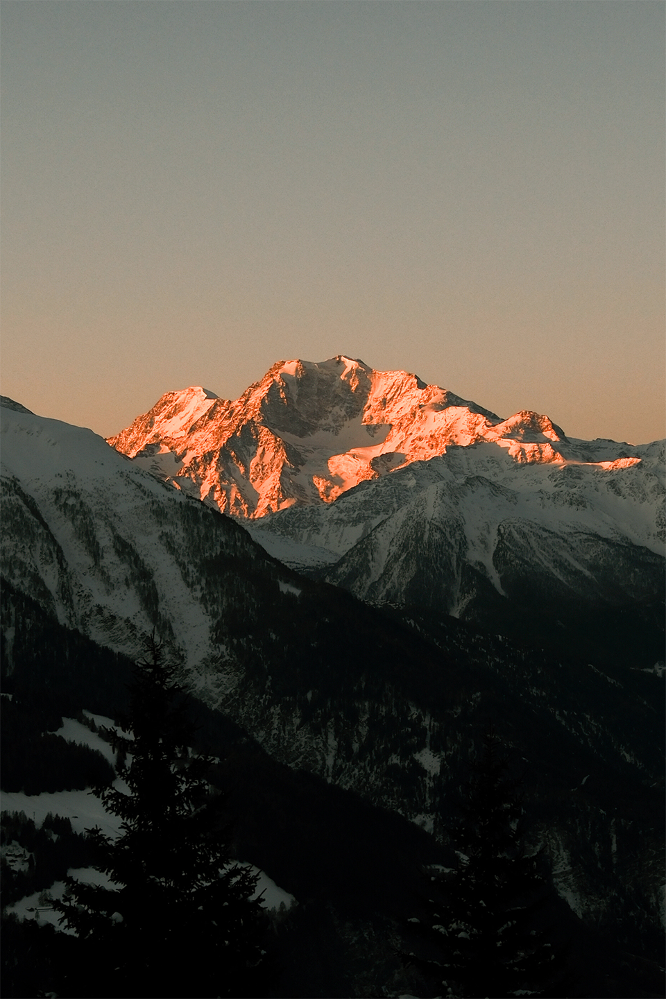 nature_002.png