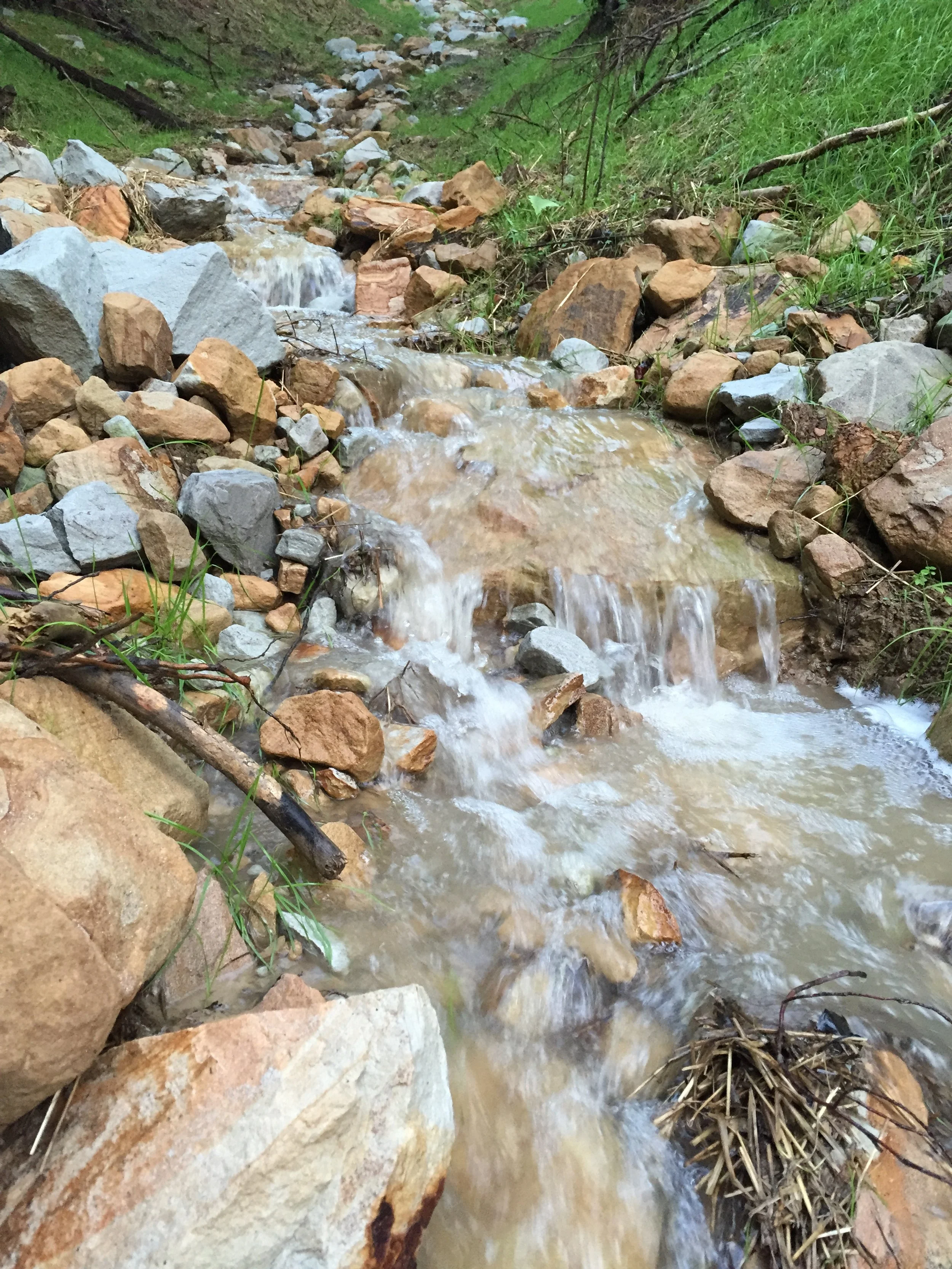 Springtime Restoration Projects Gallery — Stream Restoration Specialists LLC.