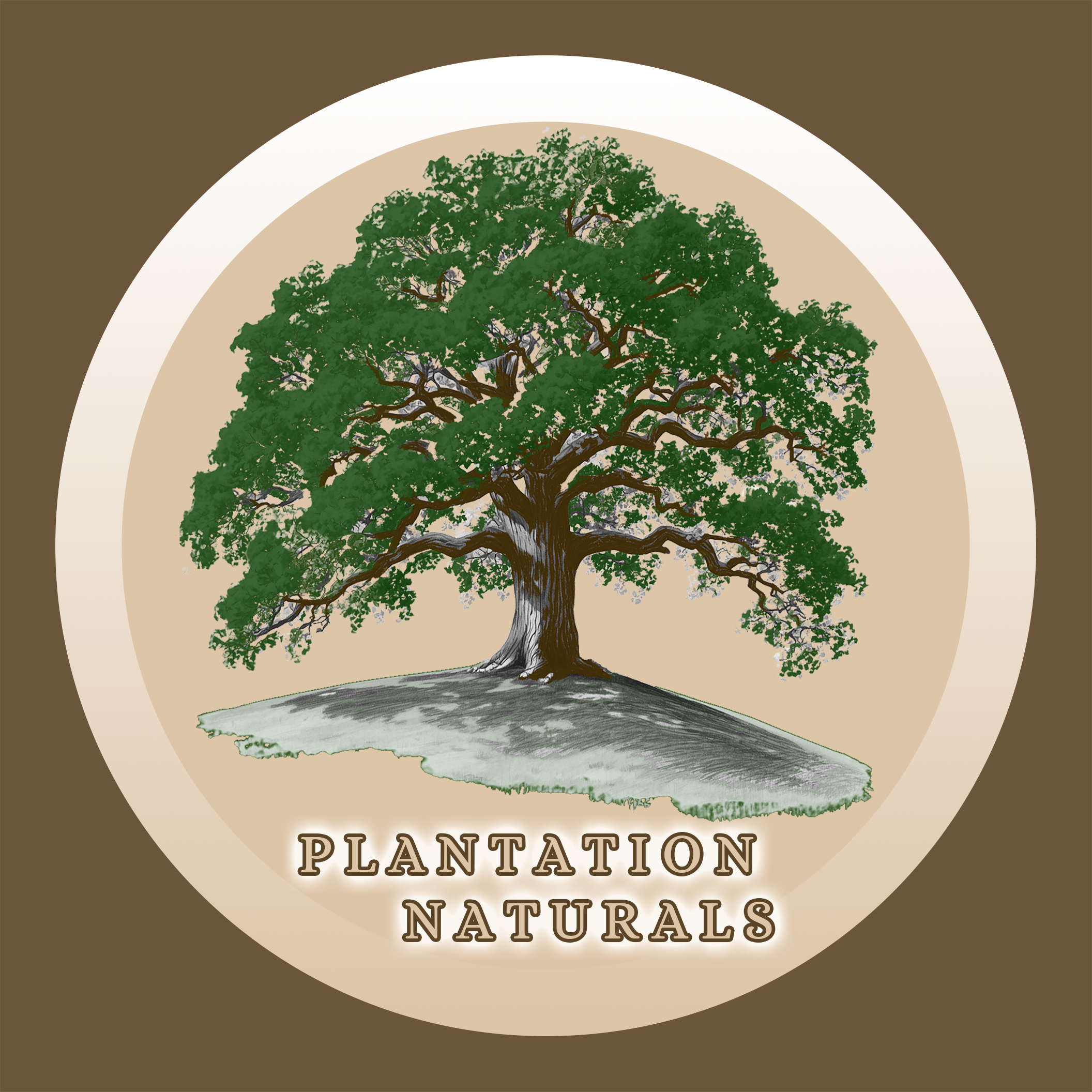 Logo 2 PN FINAL.png (Copy)