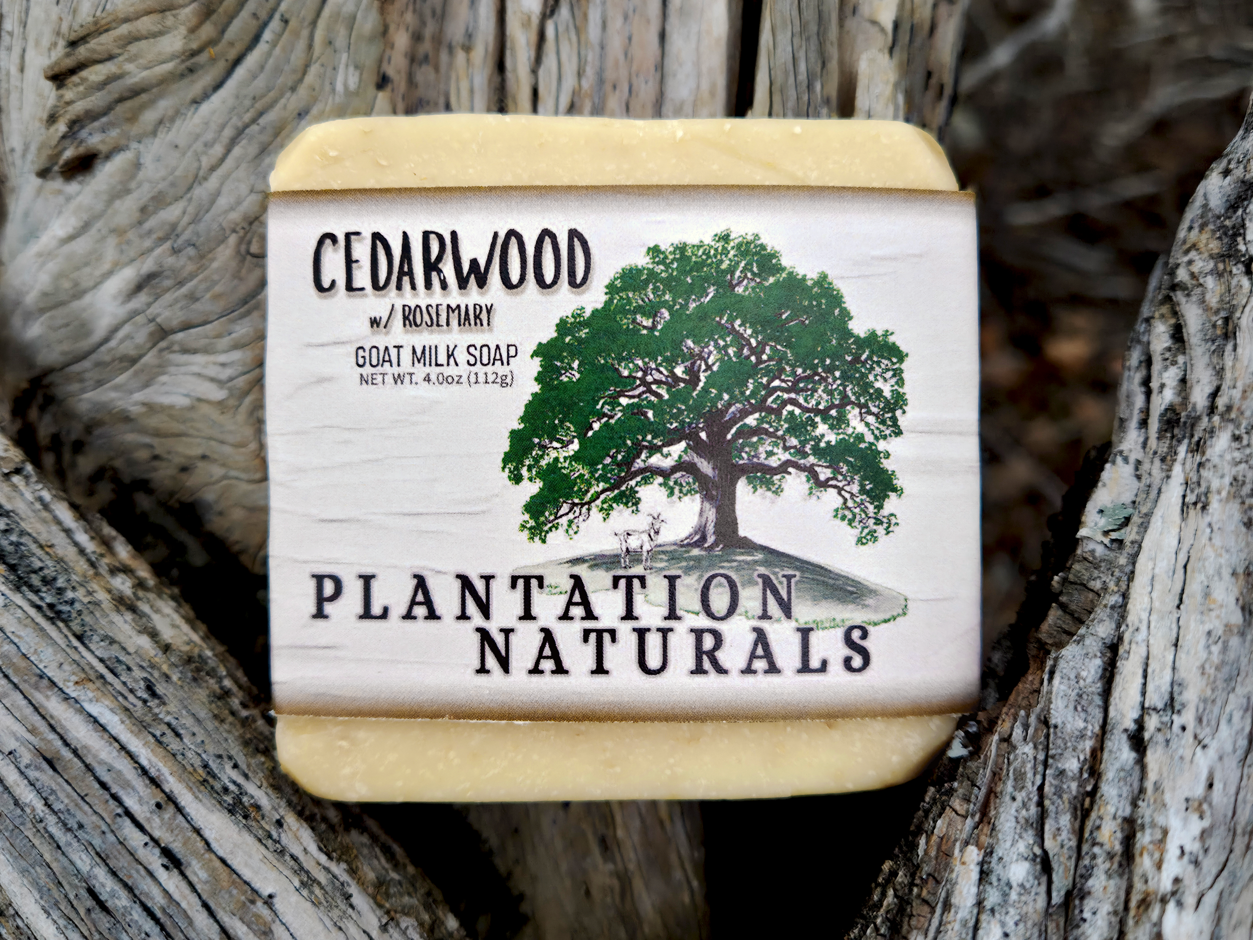 CEDARWOOD w/ Rosemary Goat Milk Soap Bar