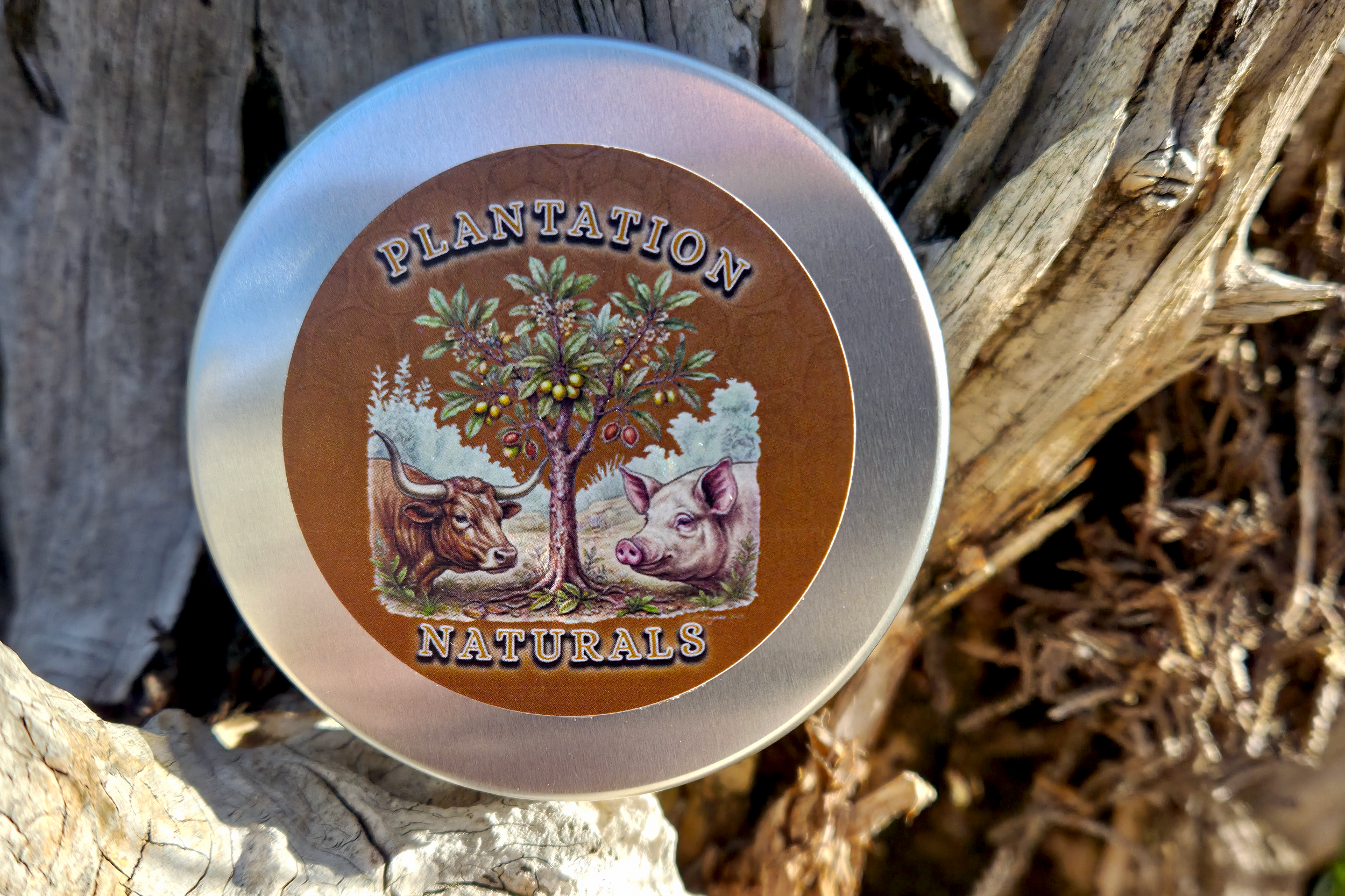 Beard Balm Round Top FINAL.png