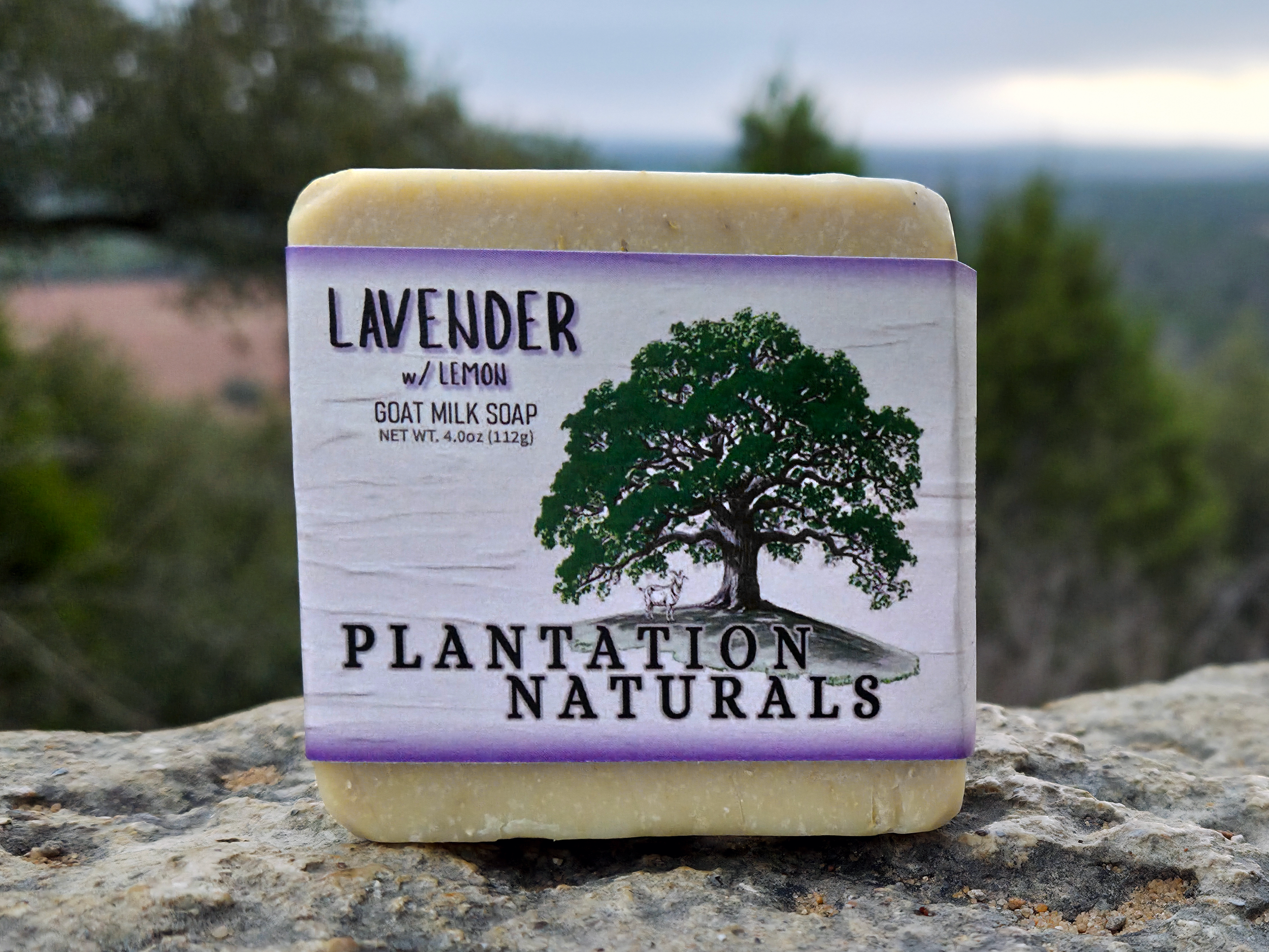 Lavender photo 1.png