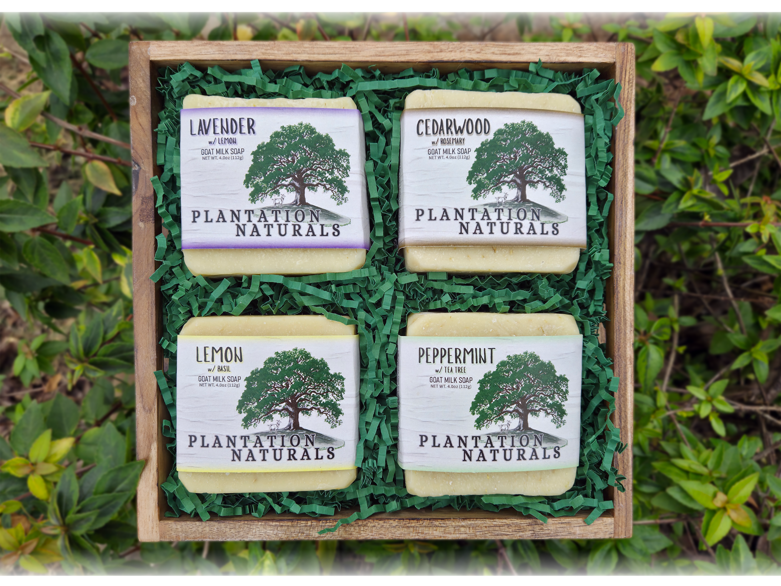 GIFT BASKET - 4 Goat Milk Soap Bars