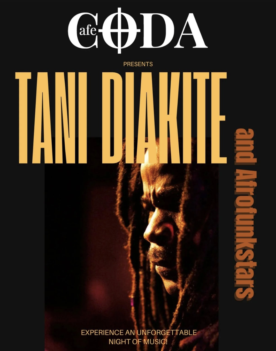 Tani Diakite and Afrofunkstars