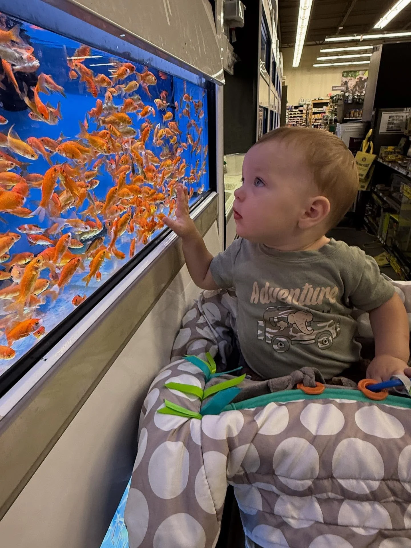 Popped in to see my sweet Grandson and took him to &ldquo;the zoo.&rdquo; It&rsquo;s a small local zoo 😃🐠 with a pretty big gift shop 🎉🎉. We were entertained for a long while giving mom a little break. Mimi loves Weston ❤️ And I love sharing plac