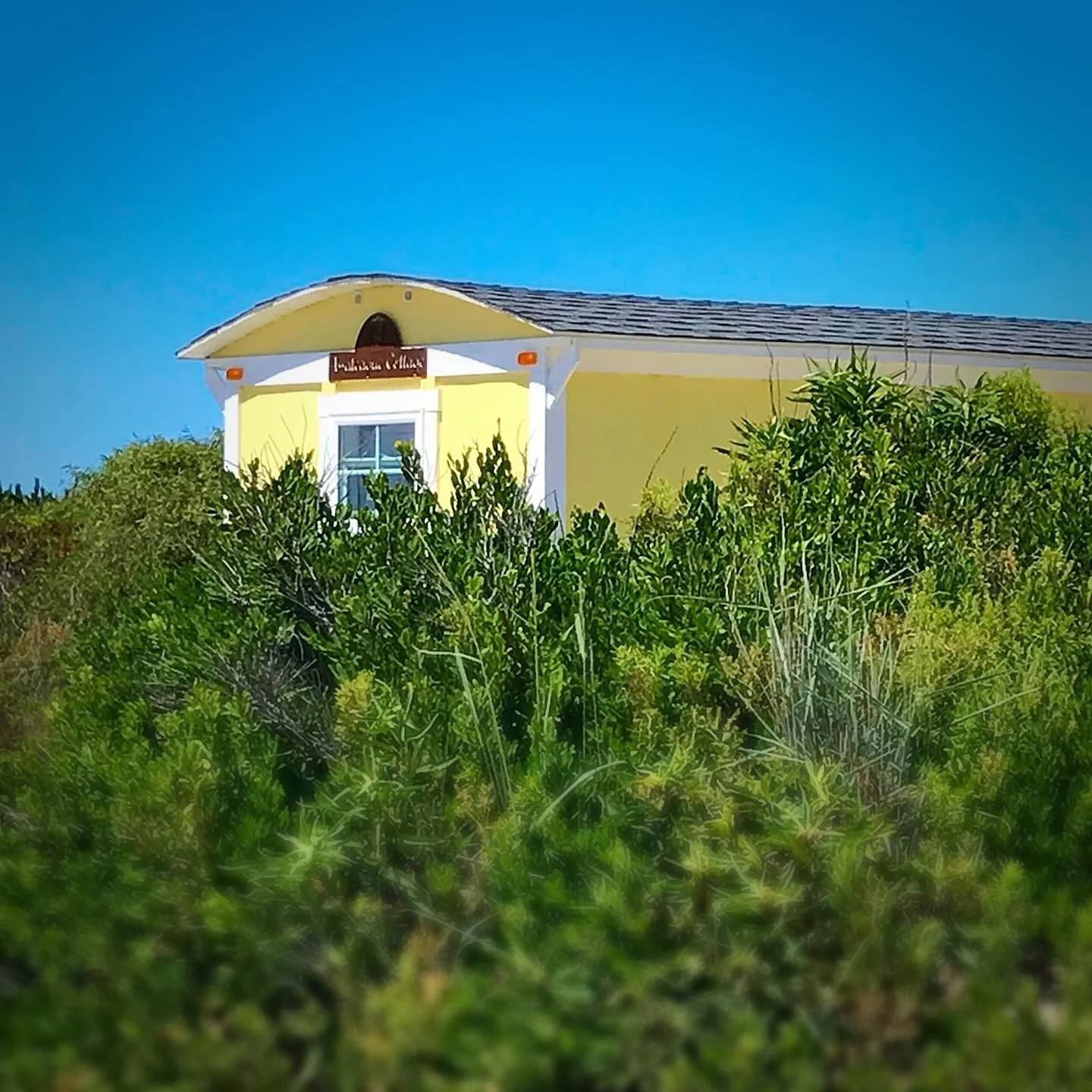 Not sure if I ever posted this but with the wild weather coming this weekend I thought I would. Beautiful summer day on Assateague.  #glamping #oceancitymaryland #marylanddnr #assateague #adsateaguerental #assateaguecottage #assateaguecamping