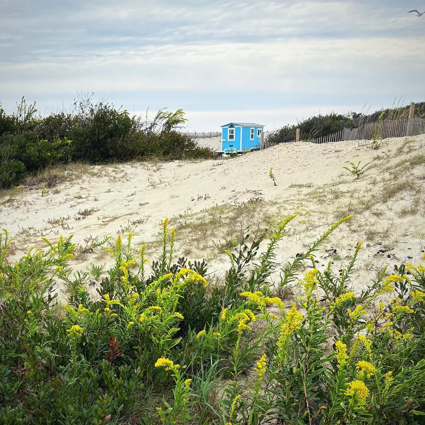 Just delivered our last scheduled delivery of the 2025 season. Wanted to say thank you to everyone for a fun summer and fall, it was great. Very sorry to anyone looking to reserve for Columbus Day weekend this year, I had something I needed to attend