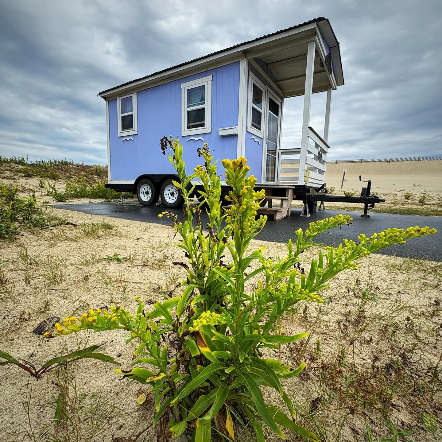 Even on a drizzly Saturday this newly delivered cottage looks very cozy! #glamping #oceancitymaryland #marylanddnr #assateague #adsateaguerental #assateaguecottage #assateaguecamping