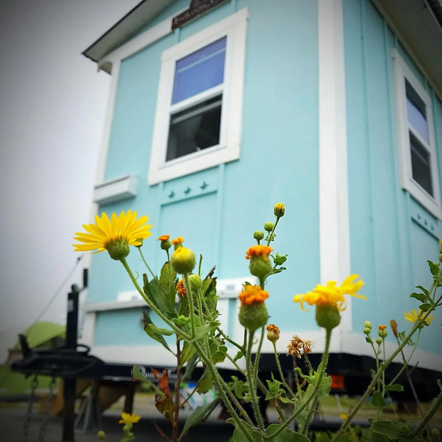 I don&rsquo;t always offer the smaller Robins Egg for rental to avoid confusion over the size and layout but when I do everyone falls in love with it. Expect to see more of this cute cozy cottage in the future! #glamping #oceancitymaryland #marylandd