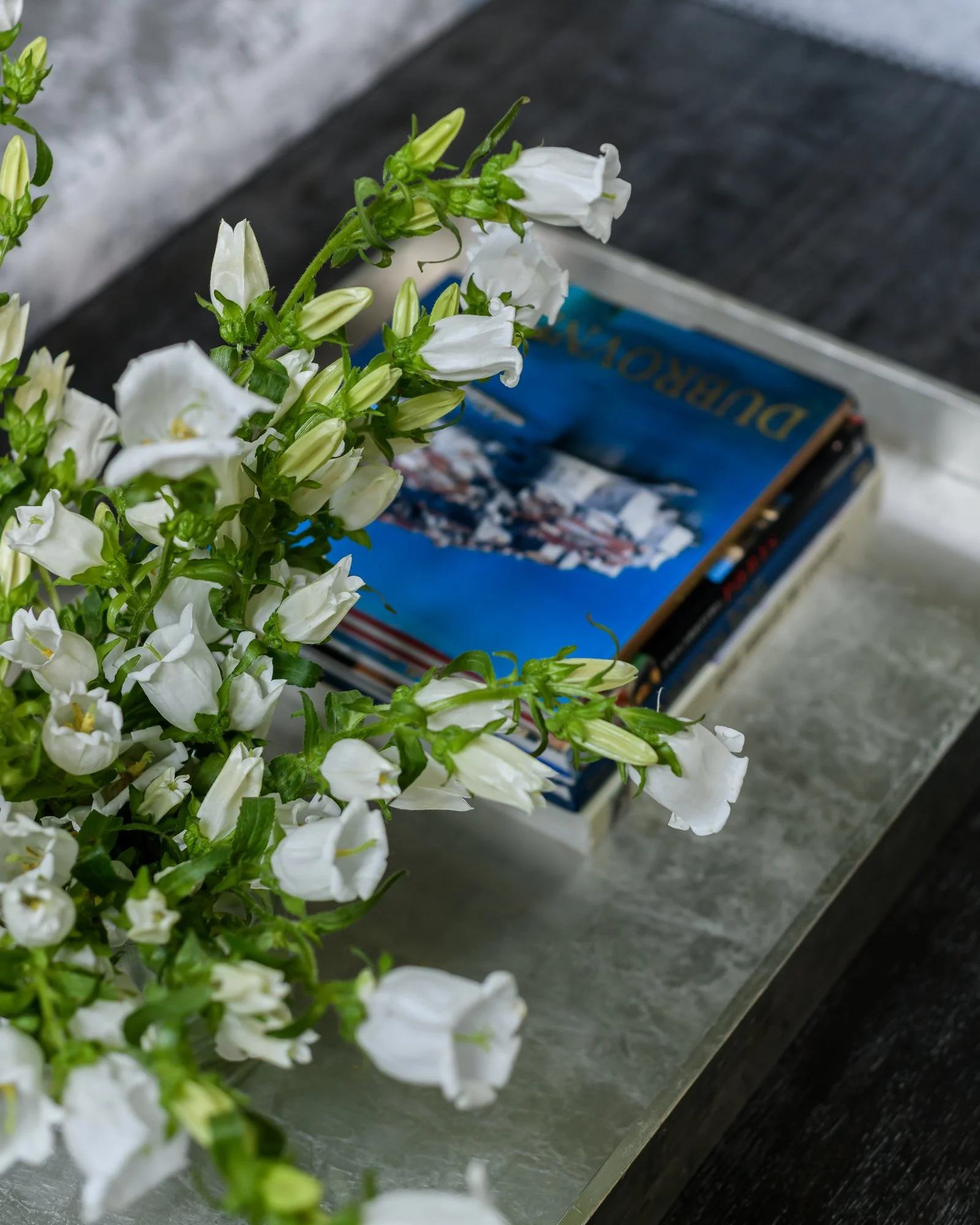 Bold, colorful interior design transforming a builder-grade home in the Bright & Bold at Noble project by Melissa’s Designs.