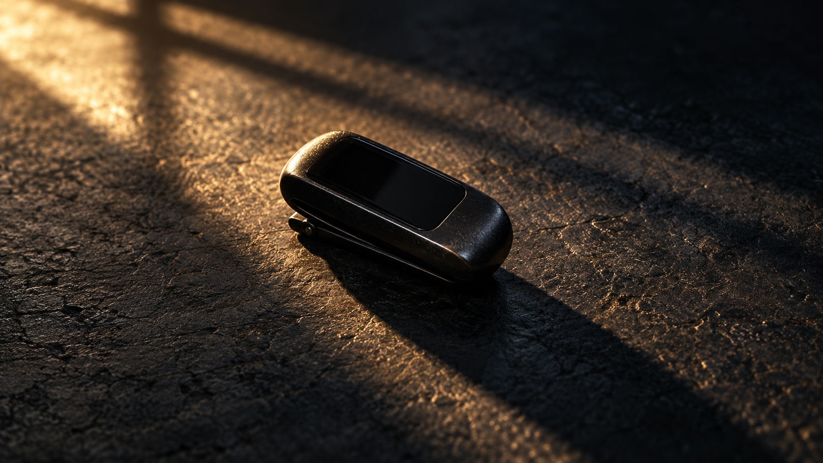 The Fitbit Murder Explained: Evidence, Verdict And Appeal