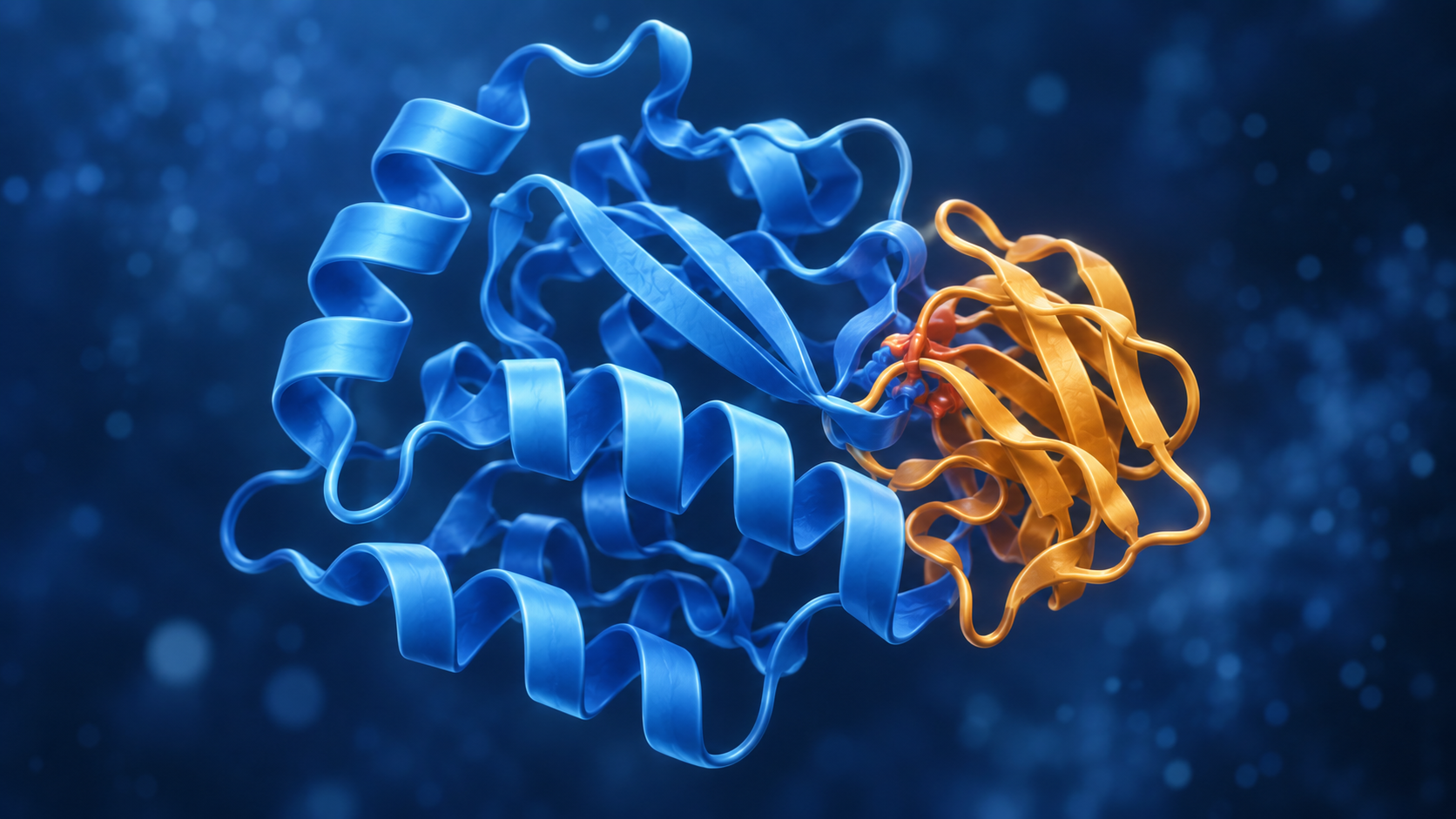 Classic CJD And Variant CJD: Why The Distinction Matters