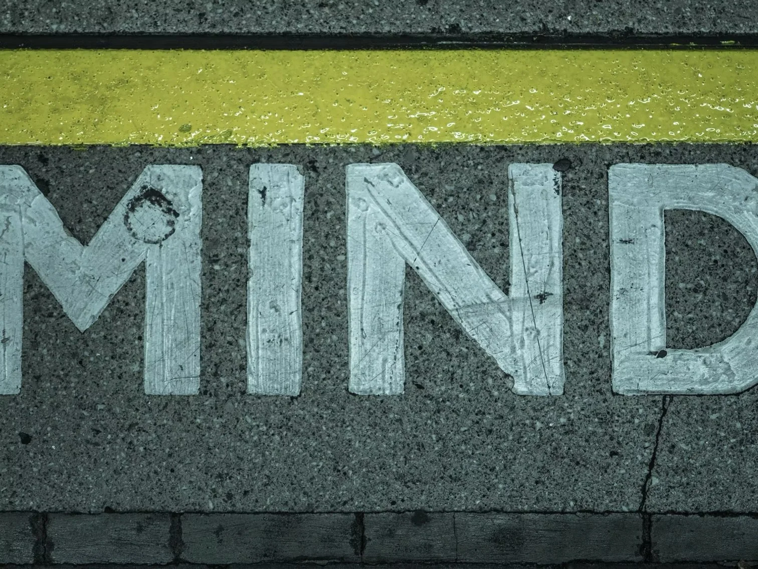 The Five Elements of the Mind